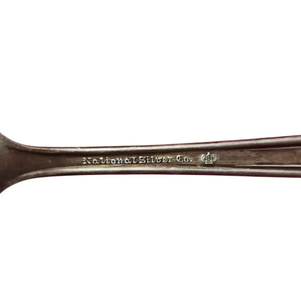 National Silver Co Calvalcade Sugar Spoon Silverplate 6